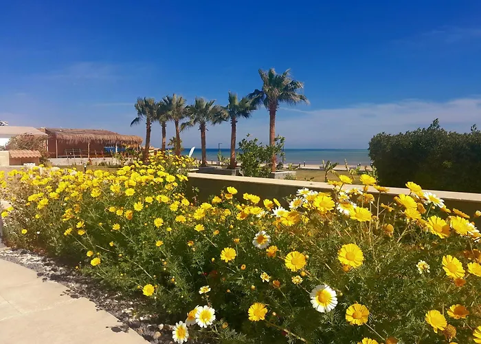 Selena Bay Hurghada
