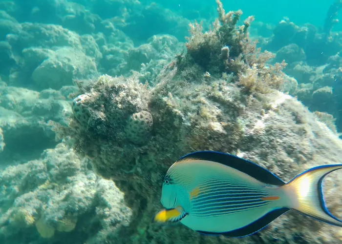 Selena Bay Appartamento Hurghada